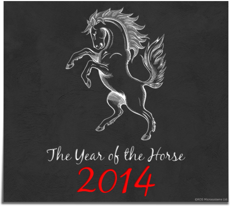 2014 Horse 3
